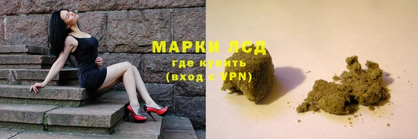 спиды Каменногорск