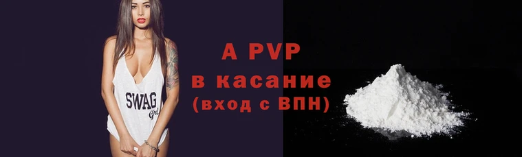 спиды Каменногорск