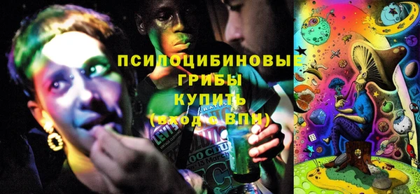 бутират Каменка