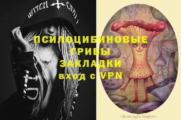 бутират Каменка