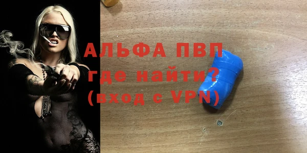 спиды Каменногорск