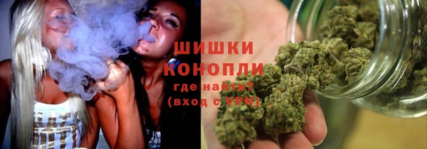 спиды Каменногорск