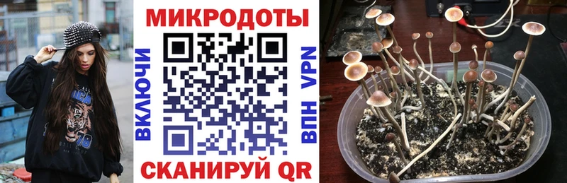 Галлюциногенные грибы Magic Shrooms  Купить закладки  Данилов 